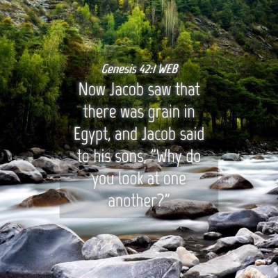 Picture 04 - Genesis 42:1 WEB - Now Jacob saw that there was grain in Egypt, and - Bible Verse Picture