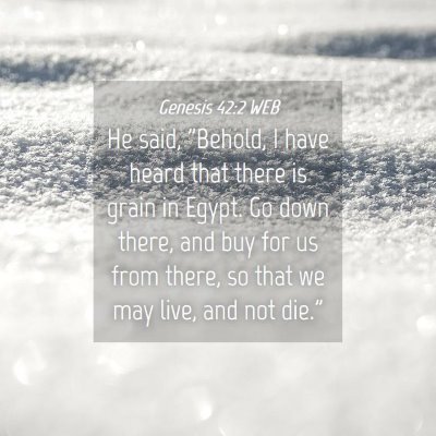 Picture 04 - Genesis 42:2 WEB - He said, 