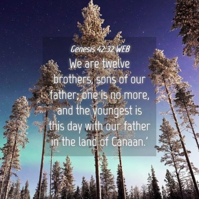 Picture 04 - Genesis 42:32 WEB - We are twelve brothers, sons of our father; one - Bible Verse Picture
