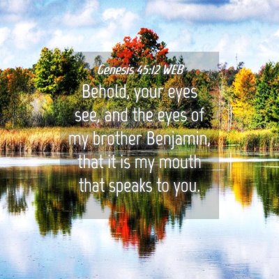 Picture 04 - Genesis 45:12 WEB - Behold, your eyes see, and the eyes of my brother - Bible Verse Picture