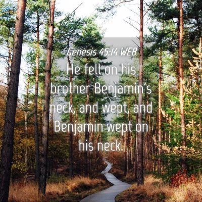 Picture 04 - Genesis 45:14 WEB - He fell on his brother Benjamin's neck, and wept, - Bible Verse Picture