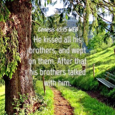 Picture 04 - Genesis 45:15 WEB - He kissed all his brothers, and wept on them. - Bible Verse Picture