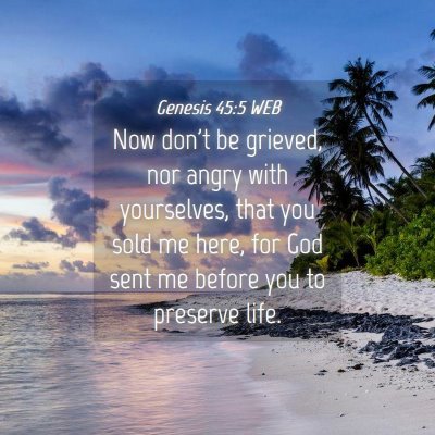Picture 04 - Genesis 45:5 WEB - Now don't be grieved, nor angry with yourselves, - Bible Verse Picture