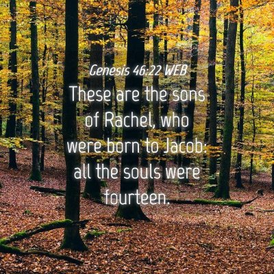 Picture 04 - Genesis 46:22 WEB - These are the sons of Rachel, who were born to - Bible Verse Picture