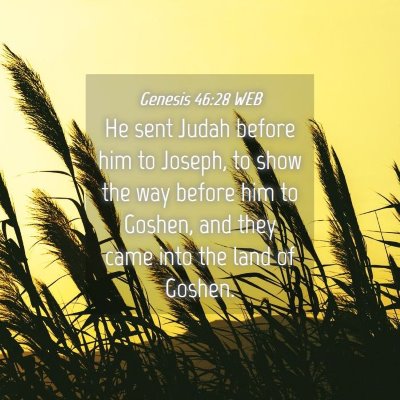 Picture 04 - Genesis 46:28 WEB - He sent Judah before him to Joseph, to show the - Bible Verse Picture