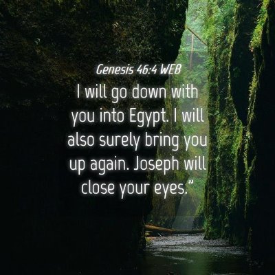 Picture 04 - Genesis 46:4 WEB - I will go down with you into Egypt. I will also - Bible Verse Picture