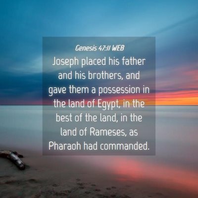 Picture 04 - Genesis 47:11 WEB - Joseph placed his father and his brothers, and - Bible Verse Picture
