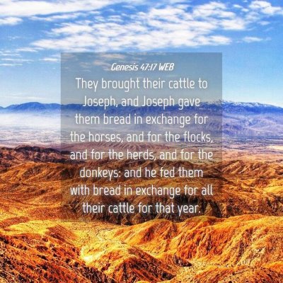 Picture 04 - Genesis 47:17 WEB - They brought their cattle to Joseph, and Joseph - Bible Verse Picture