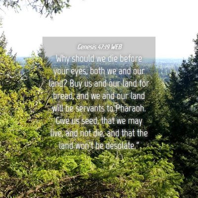 Picture 04 - Genesis 47:19 WEB - Why should we die before your eyes, both we and - Bible Verse Picture