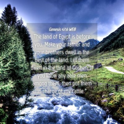 Picture 04 - Genesis 47:6 WEB - The land of Egypt is before you. Make your father - Bible Verse Picture