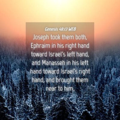 Picture 04 - Genesis 48:13 WEB - Joseph took them both, Ephraim in his right hand - Bible Verse Picture