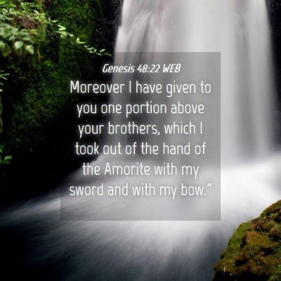 Picture 04 - Genesis 48:22 WEB - Moreover I have given to you one portion above - Bible Verse Picture