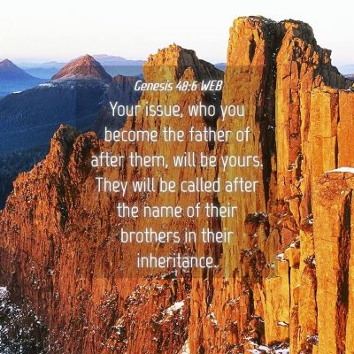 Picture 04 - Genesis 48:6 WEB - Your issue, who you become the father of after - Bible Verse Picture