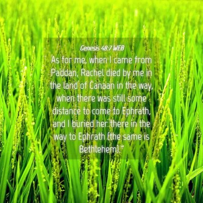 Picture 04 - Genesis 48:7 WEB - As for me, when I came from Paddan, Rachel died - Bible Verse Picture