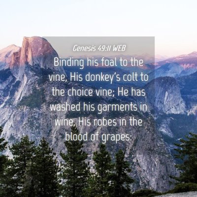 Picture 04 - Genesis 49:11 WEB - Binding his foal to the vine, His donkey's colt - Bible Verse Picture