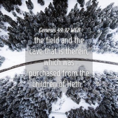 Picture 04 - Genesis 49:32 WEB - the field and the cave that is therein, which was - Bible Verse Picture