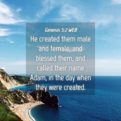 Picture 04 - Genesis 5:2 WEB - He created them male and female, and blessed - Bible Verse Picture