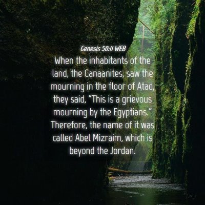 Picture 04 - Genesis 50:11 WEB - When the inhabitants of the land, the Canaanites, - Bible Verse Picture