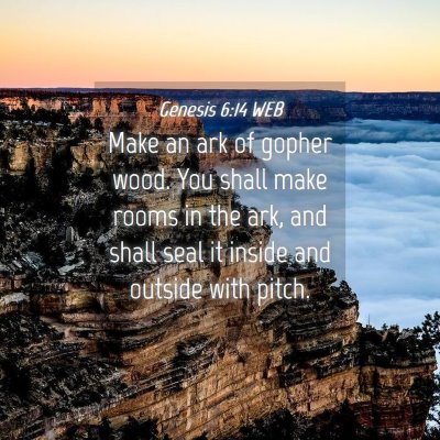 Picture 04 - Genesis 6:14 WEB - Make an ark of gopher wood. You shall make rooms - Bible Verse Picture