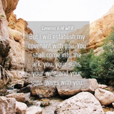 Picture 04 - Genesis 6:18 WEB - But I will establish my covenant with you. You - Bible Verse Picture