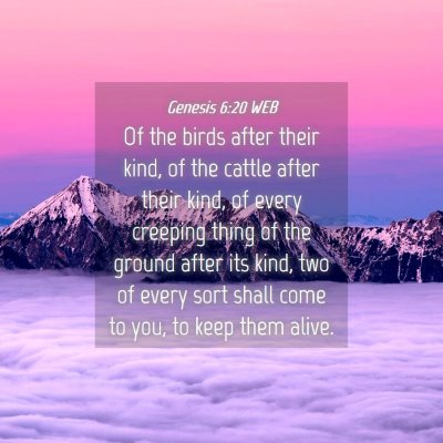 Picture 04 - Genesis 6:20 WEB - Of the birds after their kind, of the cattle - Bible Verse Picture