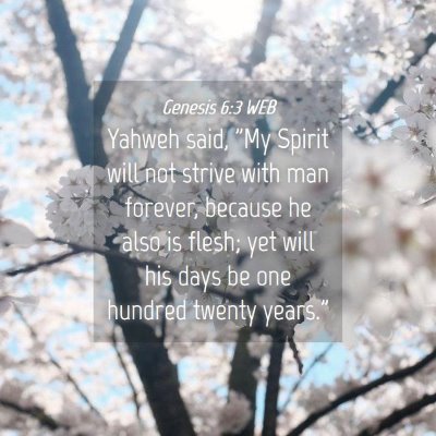 Picture 04 - Genesis 6:3 WEB - Yahweh said, 