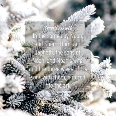 Picture 04 - Genesis 7:13 WEB - In the same day Noah, and Shem, Ham, and Japheth, - Bible Verse Picture