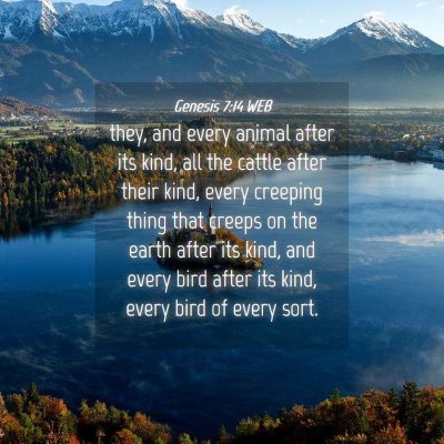 Picture 04 - Genesis 7:14 WEB - they, and every animal after its kind, all the - Bible Verse Picture