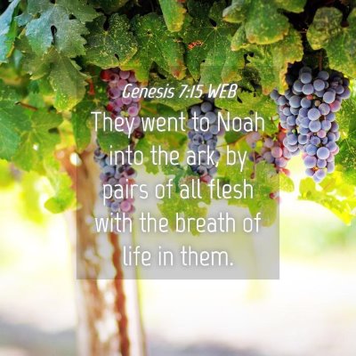 Picture 04 - Genesis 7:15 WEB - They went to Noah into the ark, by pairs of all - Bible Verse Picture