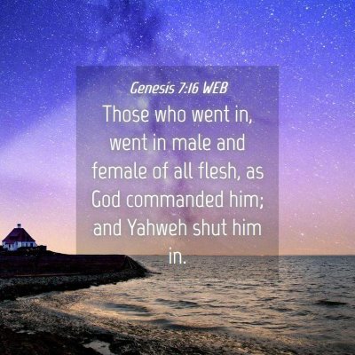 Picture 04 - Genesis 7:16 WEB - Those who went in, went in male and female of all - Bible Verse Picture