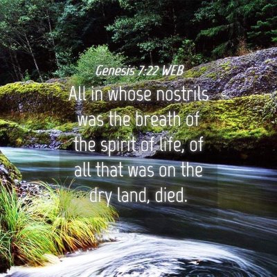 Picture 04 - Genesis 7:22 WEB - All in whose nostrils was the breath of the - Bible Verse Picture
