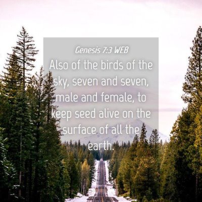 Picture 04 - Genesis 7:3 WEB - Also of the birds of the sky, seven and seven, - Bible Verse Picture