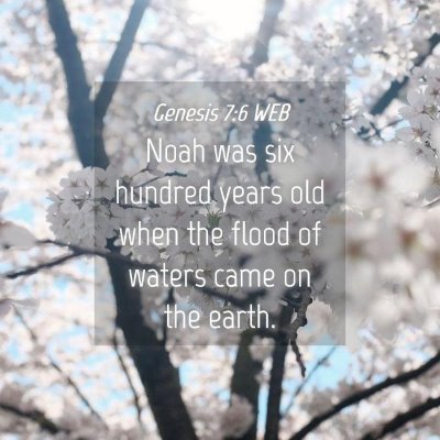 Picture 04 - Genesis 7:6 WEB - Noah was six hundred years old when the flood of - Bible Verse Picture