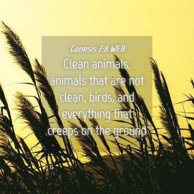 Picture 04 - Genesis 7:8 WEB - Clean animals, animals that are not clean, birds, - Bible Verse Picture