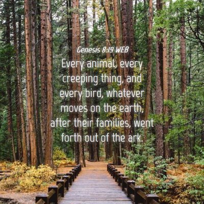 Picture 04 - Genesis 8:19 WEB - Every animal, every creeping thing, and every - Bible Verse Picture