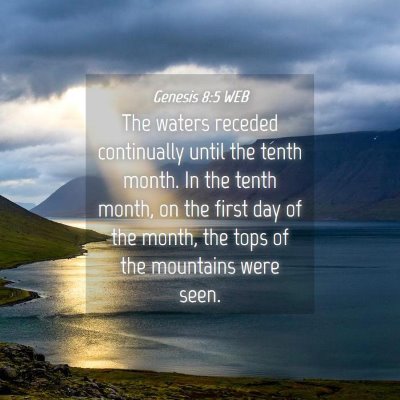 Picture 04 - Genesis 8:5 WEB - The waters receded continually until the tenth - Bible Verse Picture