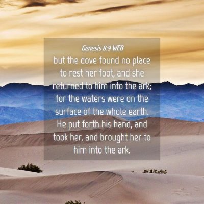 Picture 04 - Genesis 8:9 WEB - but the dove found no place to rest her foot, and - Bible Verse Picture