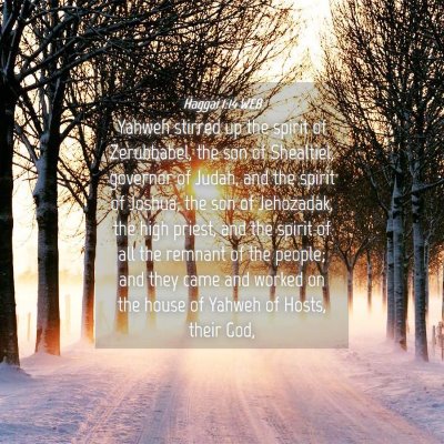 Picture 04 - Haggai 1:14 WEB - Yahweh stirred up the spirit of Zerubbabel, the - Bible Verse Picture