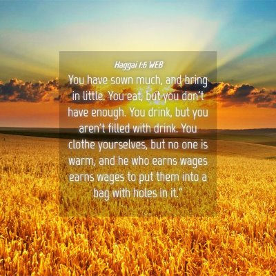 Picture 04 - Haggai 1:6 WEB - You have sown much, and bring in little. You eat, - Bible Verse Picture