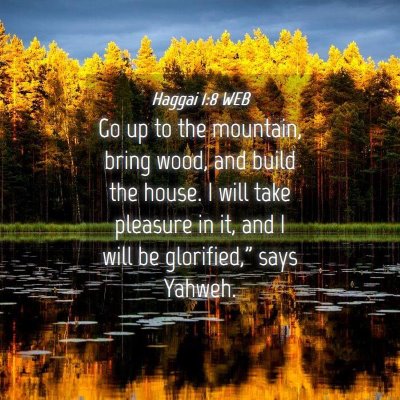 Picture 04 - Haggai 1:8 WEB - Go up to the mountain, bring wood, and build the - Bible Verse Picture