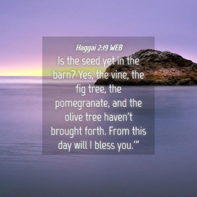 Picture 04 - Haggai 2:19 WEB - Is the seed yet in the barn? Yes, the vine, the - Bible Verse Picture