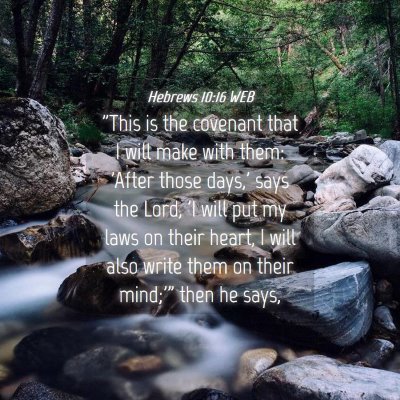 Picture 04 - Hebrews 10:16 WEB - 