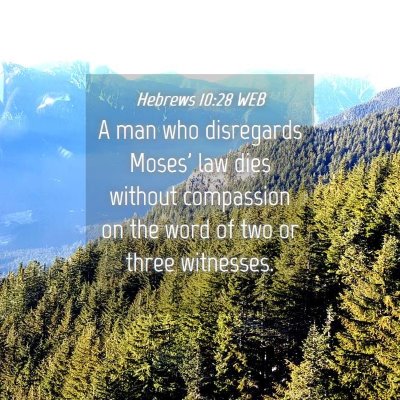 Picture 04 - Hebrews 10:28 WEB - A man who disregards Moses' law dies without - Bible Verse Picture