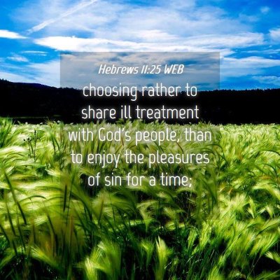 Picture 04 - Hebrews 11:25 WEB - choosing rather to share ill treatment with God's - Bible Verse Picture