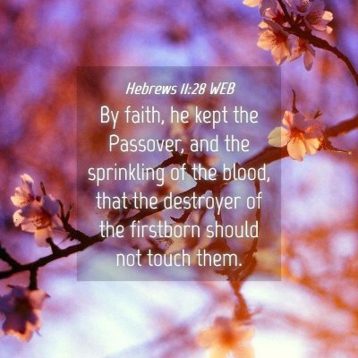 Picture 04 - Hebrews 11:28 WEB - By faith, he kept the Passover, and the - Bible Verse Picture