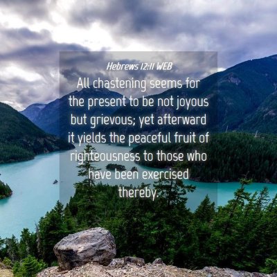 Picture 04 - Hebrews 12:11 WEB - All chastening seems for the present to be not - Bible Verse Picture