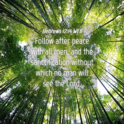 Picture 04 - Hebrews 12:14 WEB - Follow after peace with all men, and the - Bible Verse Picture