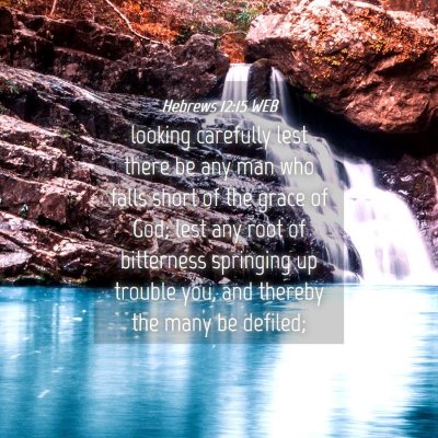 Picture 04 - Hebrews 12:15 WEB - looking carefully lest there be any man who falls - Bible Verse Picture