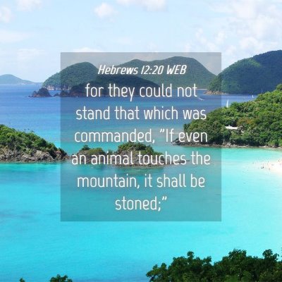 Picture 04 - Hebrews 12:20 WEB - for they could not stand that which was - Bible Verse Picture