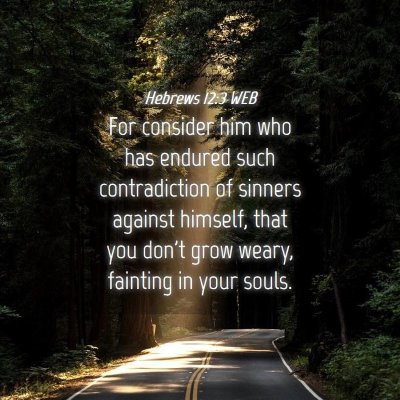 Picture 04 - Hebrews 12:3 WEB - For consider him who has endured such - Bible Verse Picture